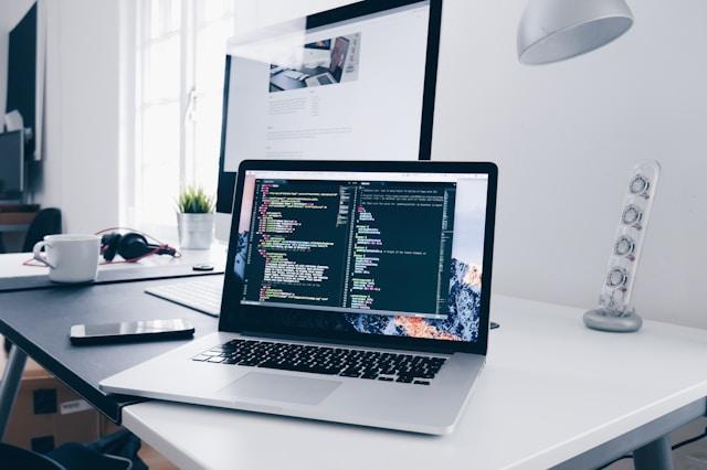 WordPress vs. Custom Software: Which Is Right for Your Business?